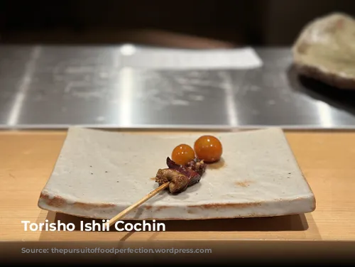 Torisho Ishii Cochin