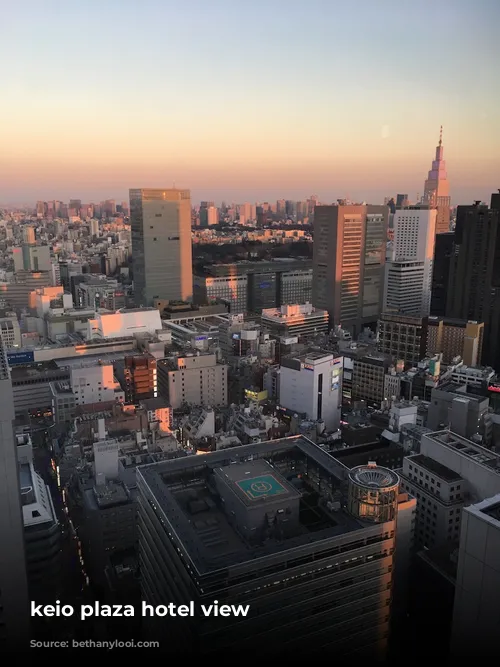 keio plaza hotel view