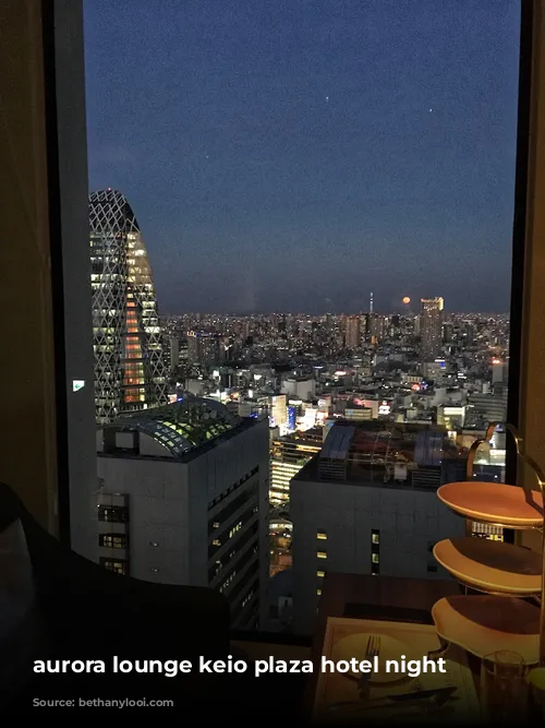 aurora lounge keio plaza hotel night view