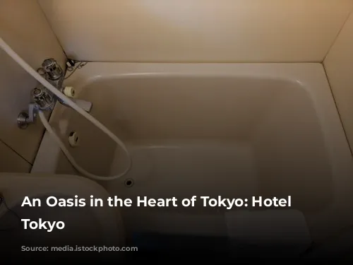 An Oasis in the Heart of Tokyo: Hotel Chinzanso Tokyo