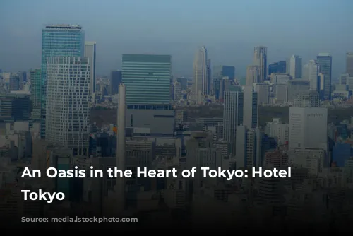 An Oasis in the Heart of Tokyo: Hotel Chinzanso Tokyo