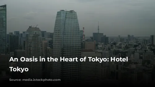 An Oasis in the Heart of Tokyo: Hotel Chinzanso Tokyo