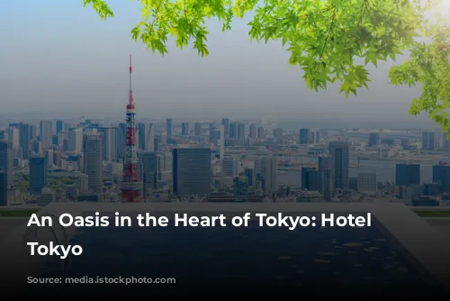 An Oasis in the Heart of Tokyo: Hotel Chinzanso Tokyo