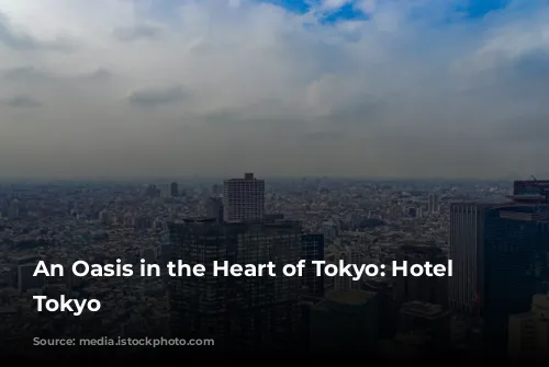 An Oasis in the Heart of Tokyo: Hotel Chinzanso Tokyo