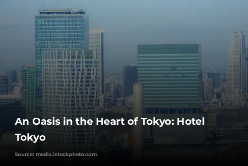 An Oasis in the Heart of Tokyo: Hotel Chinzanso Tokyo