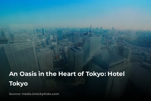 An Oasis in the Heart of Tokyo: Hotel Chinzanso Tokyo