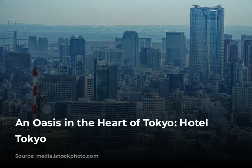 An Oasis in the Heart of Tokyo: Hotel Chinzanso Tokyo