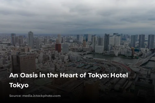 An Oasis in the Heart of Tokyo: Hotel Chinzanso Tokyo