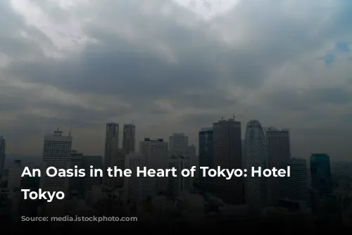 An Oasis in the Heart of Tokyo: Hotel Chinzanso Tokyo