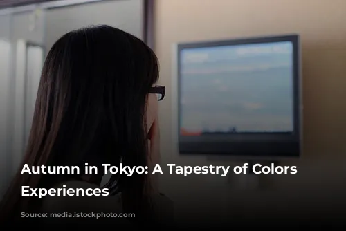 Autumn in Tokyo: A Tapestry of Colors and Experiences