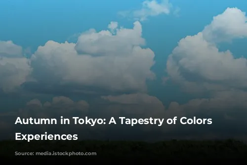 Autumn in Tokyo: A Tapestry of Colors and Experiences