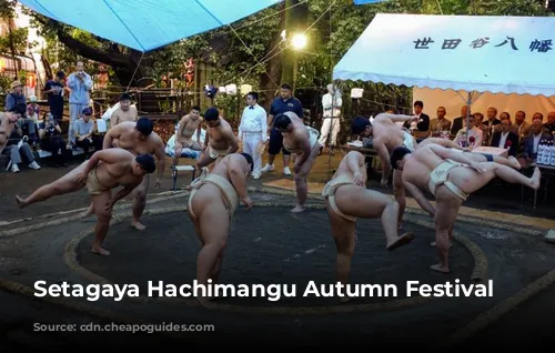 Setagaya Hachimangu Autumn Festival Sumo