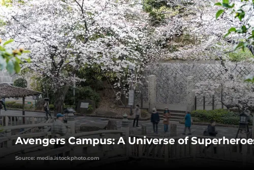 Avengers Campus: A Universe of Superheroes