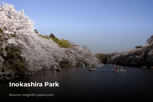 Inokashira Park