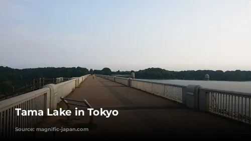 Tama Lake in Tokyo