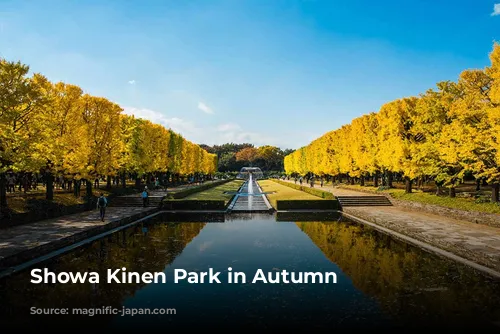 Showa Kinen Park in Autumn