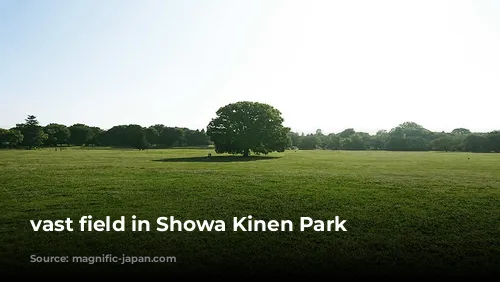 vast field in Showa Kinen Park