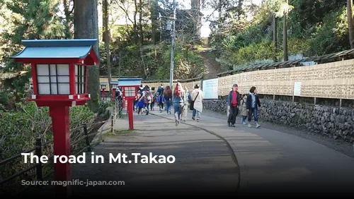 The road in Mt.Takao