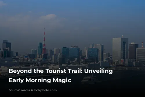 Beyond the Tourist Trail: Unveiling Tokyo's Early Morning Magic