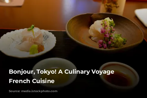 Bonjour, Tokyo! A Culinary Voyage Through French Cuisine