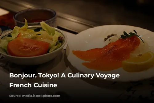 Bonjour, Tokyo! A Culinary Voyage Through French Cuisine