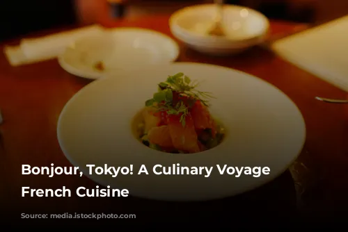 Bonjour, Tokyo! A Culinary Voyage Through French Cuisine