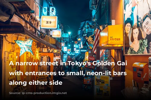 A narrow street in Tokyo's Golden Gai district, with entrances to small, neon-lit bars running along either side