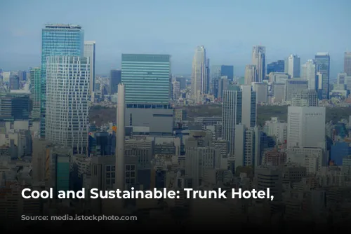 Cool and Sustainable: Trunk Hotel, Tokyo