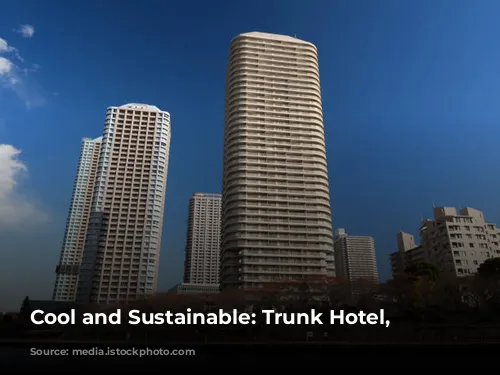 Cool and Sustainable: Trunk Hotel, Tokyo