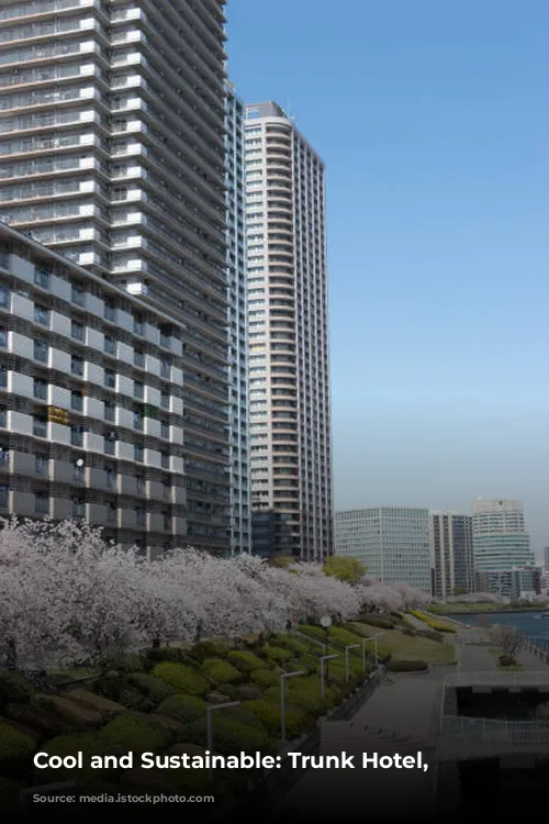 Cool and Sustainable: Trunk Hotel, Tokyo