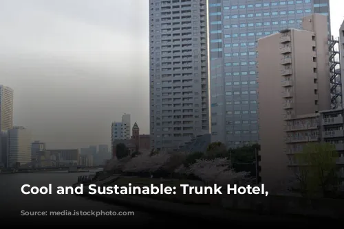 Cool and Sustainable: Trunk Hotel, Tokyo