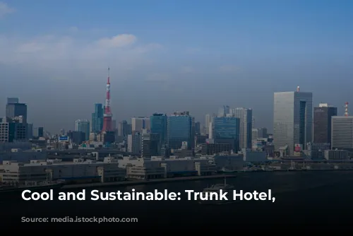 Cool and Sustainable: Trunk Hotel, Tokyo