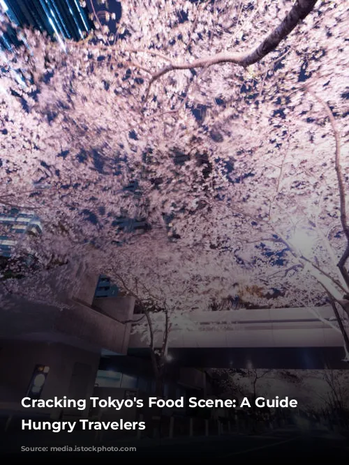 Cracking Tokyo's Food Scene: A Guide for Hungry Travelers