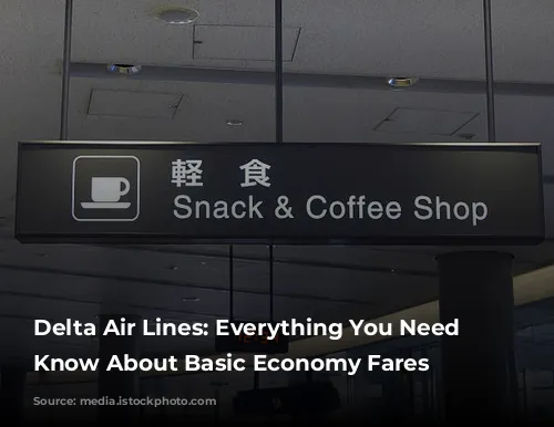 Delta Air Lines:  Everything You Need to Know About Basic Economy Fares