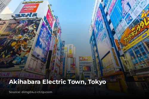 Akihabara Electric Town, Tokyo