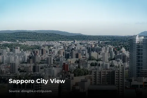 Sapporo City View