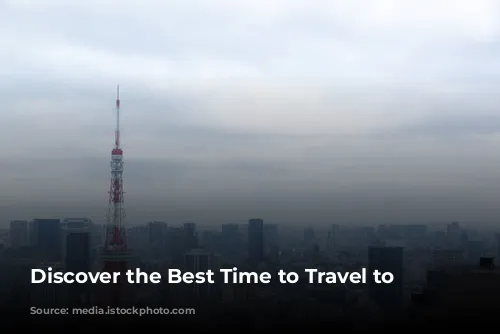 Discover the Best Time to Travel to Japan