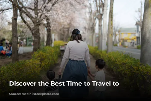 Discover the Best Time to Travel to Japan