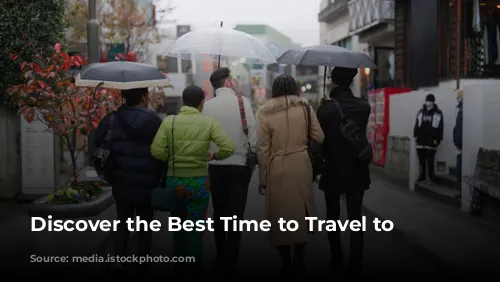 Discover the Best Time to Travel to Japan