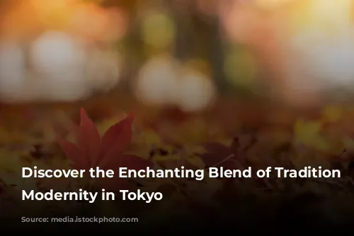 Discover the Enchanting Blend of Tradition and Modernity in Tokyo