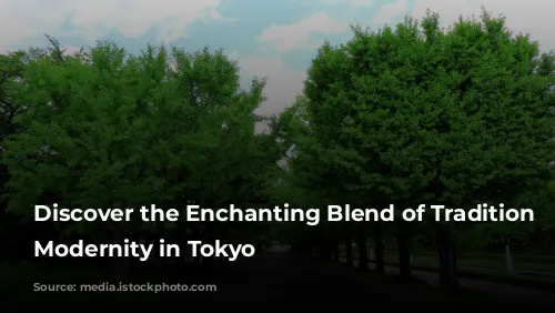 Discover the Enchanting Blend of Tradition and Modernity in Tokyo