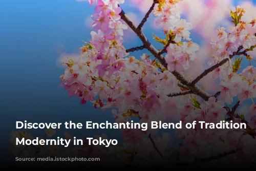 Discover the Enchanting Blend of Tradition and Modernity in Tokyo