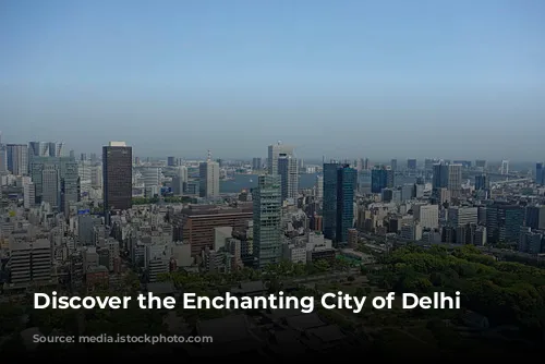 Discover the Enchanting City of Delhi