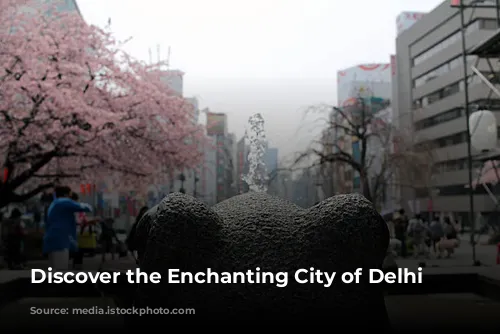 Discover the Enchanting City of Delhi