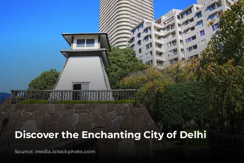 Discover the Enchanting City of Delhi