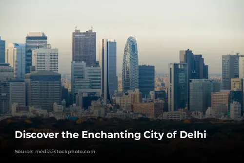 Discover the Enchanting City of Delhi