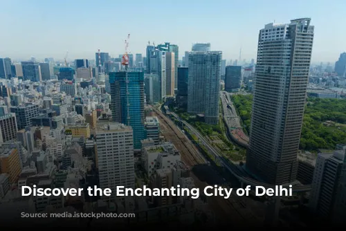 Discover the Enchanting City of Delhi