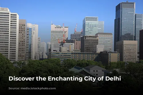 Discover the Enchanting City of Delhi