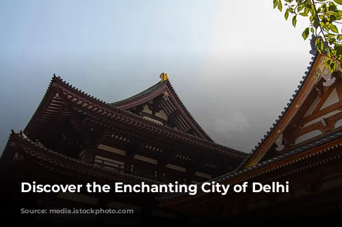 Discover the Enchanting City of Delhi