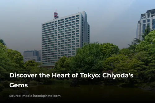 Discover the Heart of Tokyo: Chiyoda's Hidden Gems